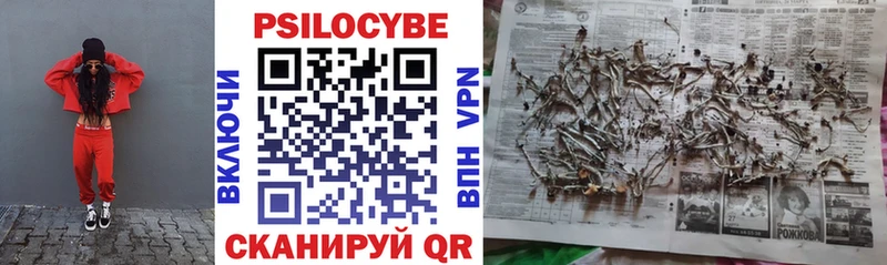 Псилоцибиновые грибы мицелий  Гай 