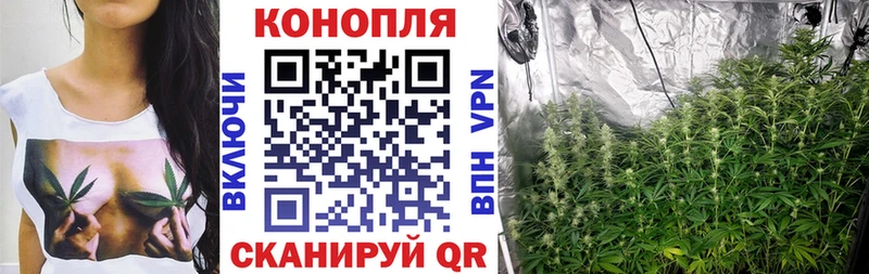 МАРИХУАНА THC 21%  купить наркотики сайты  Гай 